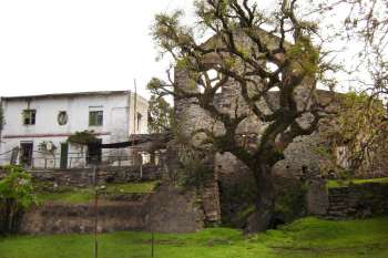 Molino Quemado